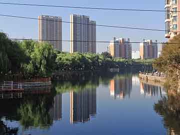 澳門一肖一碼，揭秘精準(zhǔn)預(yù)測(cè)背后的秘密，澳門一肖一碼揭秘，精準(zhǔn)預(yù)測(cè)背后的秘密探究