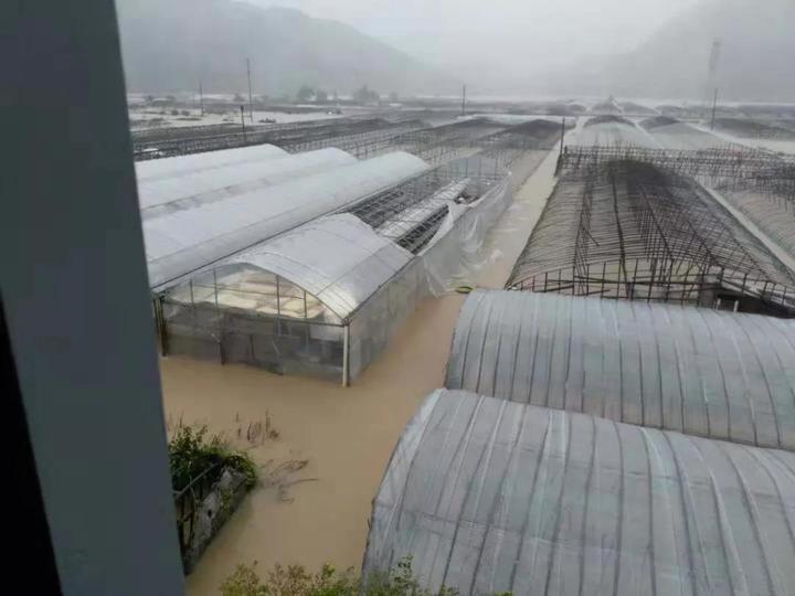 臨海邵家渡最新規(guī)劃圖，未來(lái)城市發(fā)展的藍(lán)圖，臨海邵家渡最新規(guī)劃圖揭秘，未來(lái)城市發(fā)展的宏偉藍(lán)圖