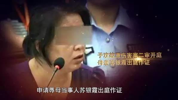 辱母殺人案最新情況深度解析，辱母殺人案最新進(jìn)展深度剖析