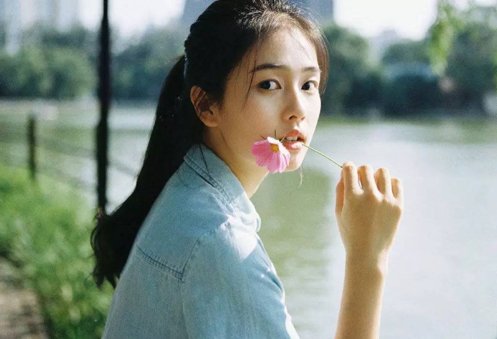 白鹿，自然與文化的交融之美，白鹿，自然與文化交融之美的獨(dú)特展現(xiàn)