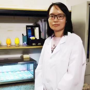 科恒股份股票最新消息全面解讀，科恒股份股票最新消息全面解讀與分析