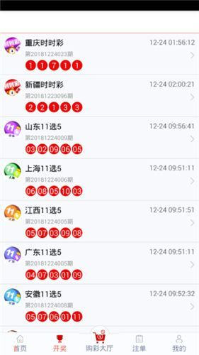 管家婆204年資料解析，一肖配成龍，管家婆204年資料解析揭秘，一肖配成龍獨(dú)家解析