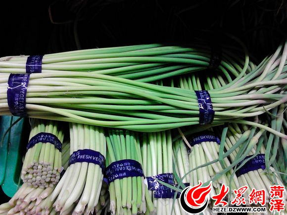 今日蒜苔價(jià)格最新行情分析，蒜苔今日最新價(jià)格行情分析