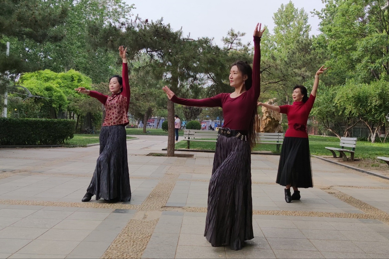 紫竹院廣場舞的最新動態(tài)與變遷，紫竹院廣場舞，最新動態(tài)與變遷概述