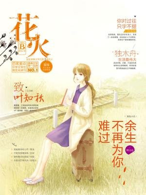 最新花火系列小說，燃燒青春，照亮未來，花火系列小說，青春燃燒，照亮未來之路