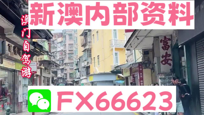 警惕網(wǎng)絡(luò)陷阱，新澳精準(zhǔn)資料免費(fèi)提供的背后隱患（第221期），警惕網(wǎng)絡(luò)陷阱，新澳精準(zhǔn)資料免費(fèi)提供的背后風(fēng)險(xiǎn)（第221期揭秘）