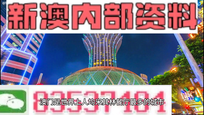 新澳門2024年資料大全與管家婆的展望，澳門未來展望，2024年資料大全與管家婆展望分析