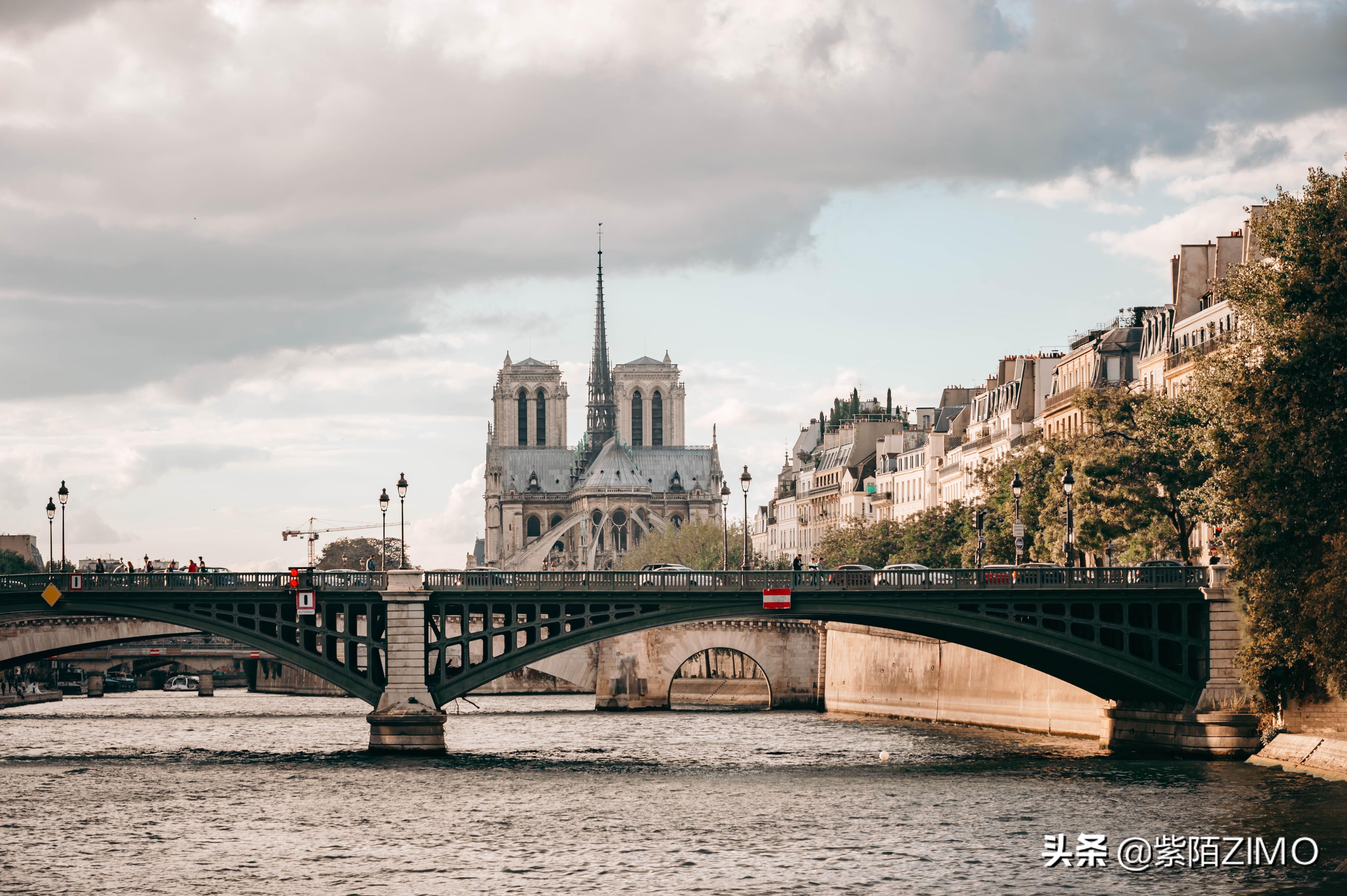 遙望科技2024年分紅計劃詳解，遙望科技2024年分紅計劃全面解析