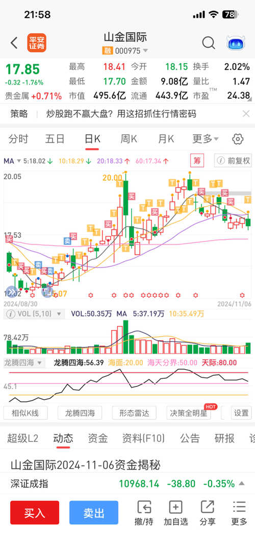 山金國際股票投資分析，前景、潛力與風(fēng)險評估，山金國際股票投資分析，前景、潛力與風(fēng)險評估詳解