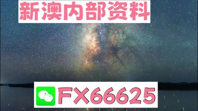 新澳2024年正版免費(fèi)資料，探索與期待，新澳2024正版免費(fèi)資料，探索之旅的期待與展望