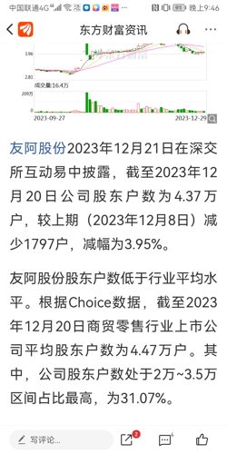 友阿股份，未來能否重返20元之巔？，友阿股份未來重返巔峰，能否重返20元之巔？