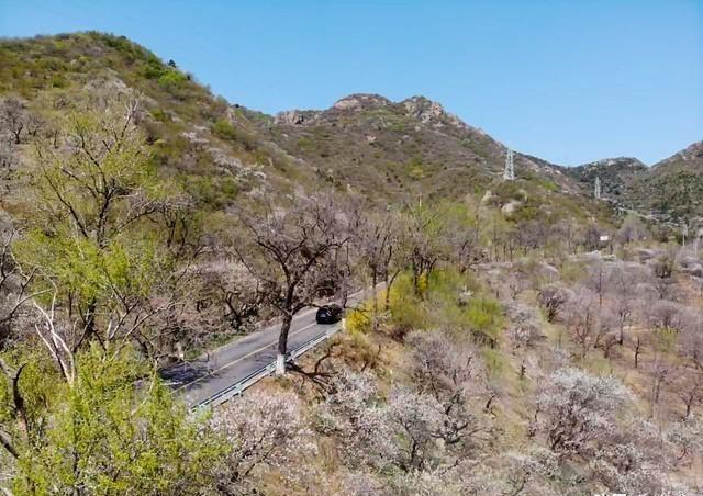 讀者傳媒2024年目標(biāo)價，展望與預(yù)測，讀者傳媒2024年展望與預(yù)測，目標(biāo)價位揭秘