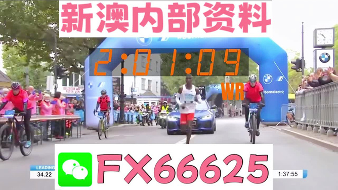 新澳2024年正版免費(fèi)資料，探索未來的寶藏，新澳2024正版免費(fèi)資料，揭秘未來寶藏之門