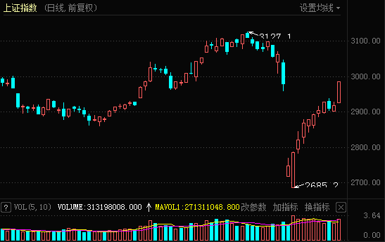 嶺南股份，妖股還是價值之選？，嶺南股份，妖股還是價值投資焦點(diǎn)？