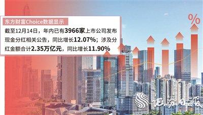 A股上市公司2024年分紅圖譜，A股上市公司2024年分紅全景解析