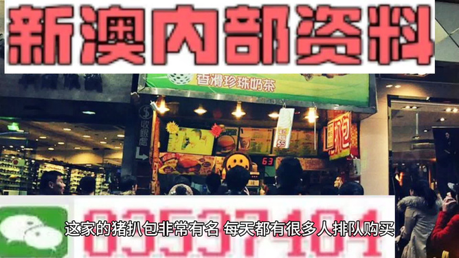新奧天天精準資料大全，深度解析與實際應用，新奧天天精準資料大全，深度解析及實際應用指南