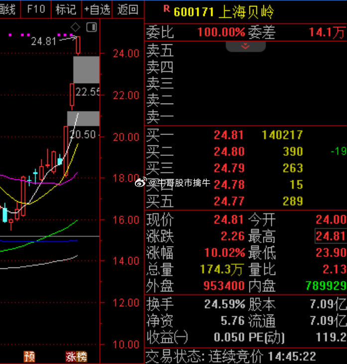 未來(lái)牛股——上海貝嶺的探索與前景，上海貝嶺，未來(lái)牛股的探索與前景展望
