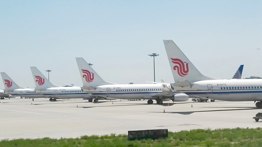 國內(nèi)航空公司排名及其綜合評估，國內(nèi)航空公司排名與綜合評估概覽