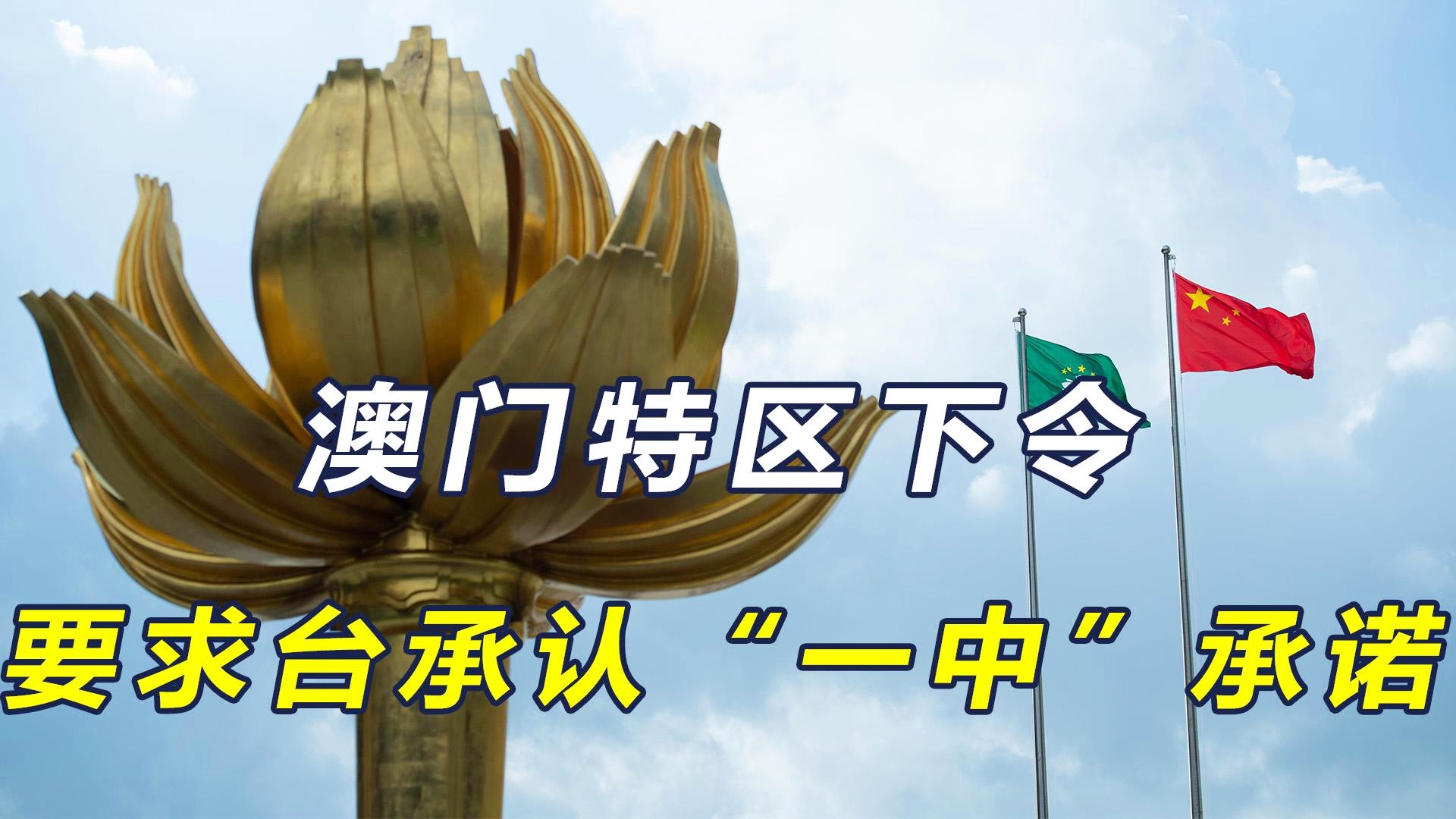 澳門一碼一肖一待一中四不像，探索神秘與現(xiàn)實(shí)的交織，澳門神秘現(xiàn)象揭秘，一碼一肖一待一中四不像的探索之旅