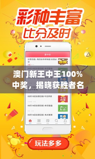 新澳門單雙王，揭示背后的犯罪問題，澳門單雙王背后的犯罪問題揭秘