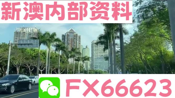 新澳最準(zhǔn)的免費(fèi)資料解析，新澳最準(zhǔn)免費(fèi)資料深度解析