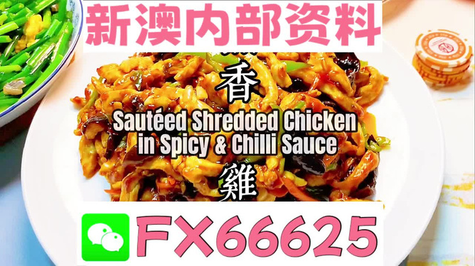 新奧天天精準資料大全，深度解析與實際應用，新奧天天精準資料大全，深度解析及實際應用指南