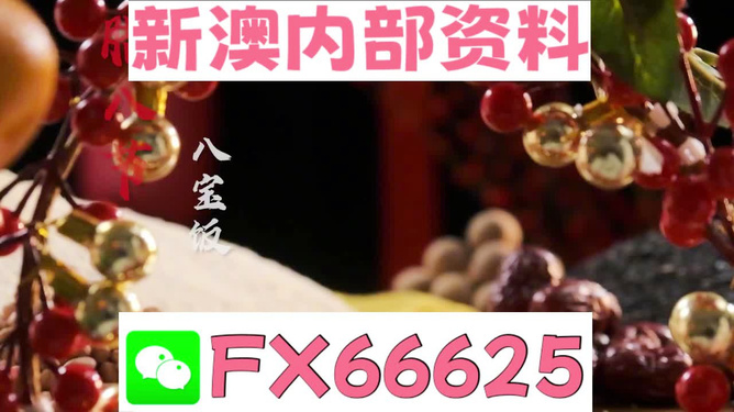 新澳2024正版免費(fèi)資料，探索與啟示，新澳2024正版免費(fèi)資料，探索之旅與啟示之門