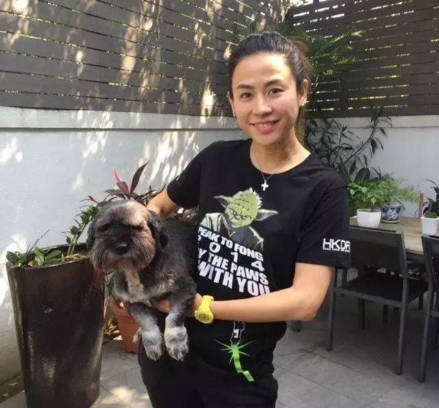 美的集團(tuán)股票值得長期持有嗎？深度分析與探討，美的集團(tuán)股票長期持有價(jià)值深度分析與探討
