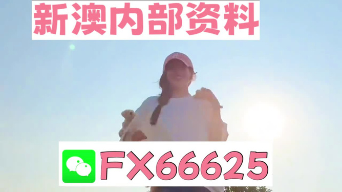 揭秘彩票背后的神秘?cái)?shù)字，精準(zhǔn)預(yù)測(cè)一肖的奧秘與探索，揭秘彩票數(shù)字背后的奧秘，探索精準(zhǔn)預(yù)測(cè)一肖的秘密
