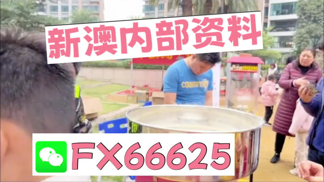 澳門(mén)正版免費(fèi)全年資料大全與精彩旅游團(tuán)體驗(yàn)，澳門(mén)正版全年資料大全與精彩旅游團(tuán)體驗(yàn)之旅