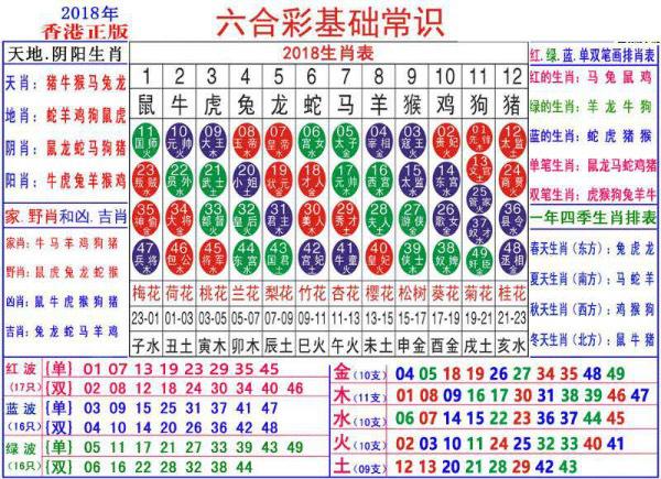 澳門正版資料大全資料生肖卡，探索生肖文化的魅力與實用指南，澳門正版資料大全，生肖文化魅力與實用指南探索