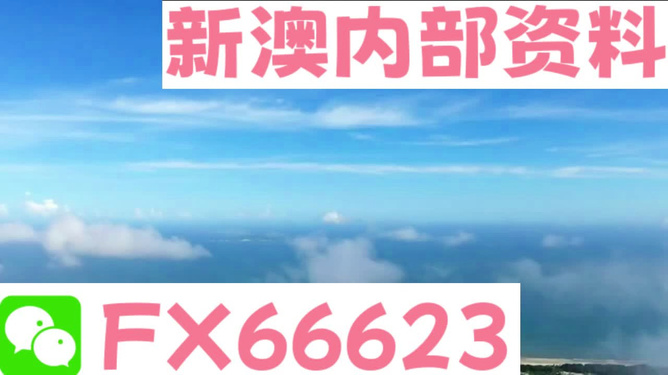 新澳2024今晚開獎(jiǎng)資料詳解，新澳2024今晚開獎(jiǎng)資料全面解析