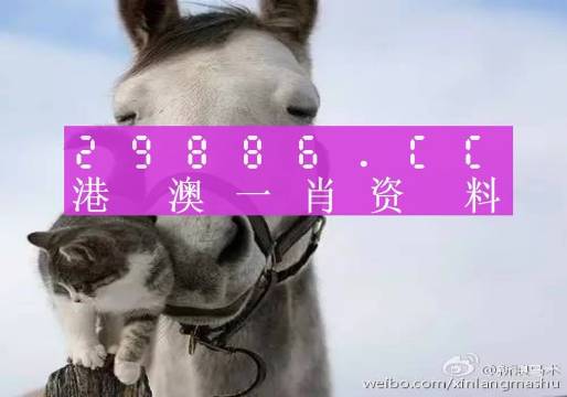 新澳門一肖一碼中恃馬，探索與解讀，澳門一肖一碼中恃馬，解讀與探索指南