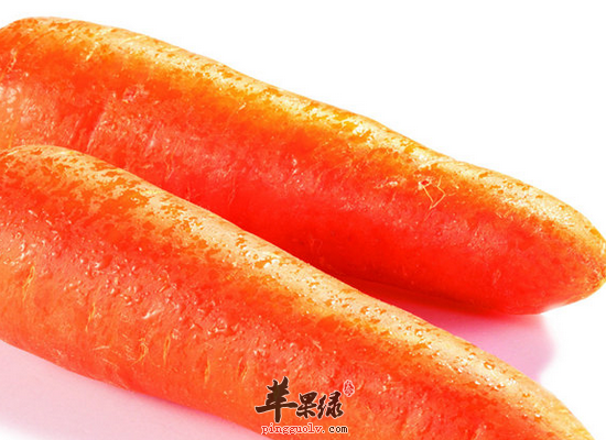 胡蘿卜，大自然的寶庫，揭示其強大的功效與作用，胡蘿卜，大自然的寶庫，揭示其驚人功效與作用