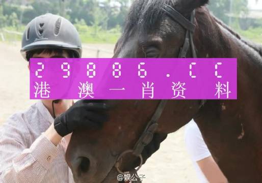 澳門(mén)一肖一碼一必中一肖同舟前進(jìn)的獨(dú)特魅力與奧秘探索，澳門(mén)一肖一碼一必中，獨(dú)特魅力與奧秘探索之旅