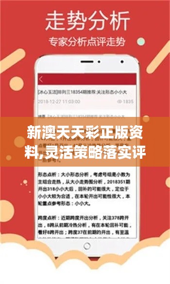新澳天天開獎資料詳解，新澳天天開獎資料全面解析