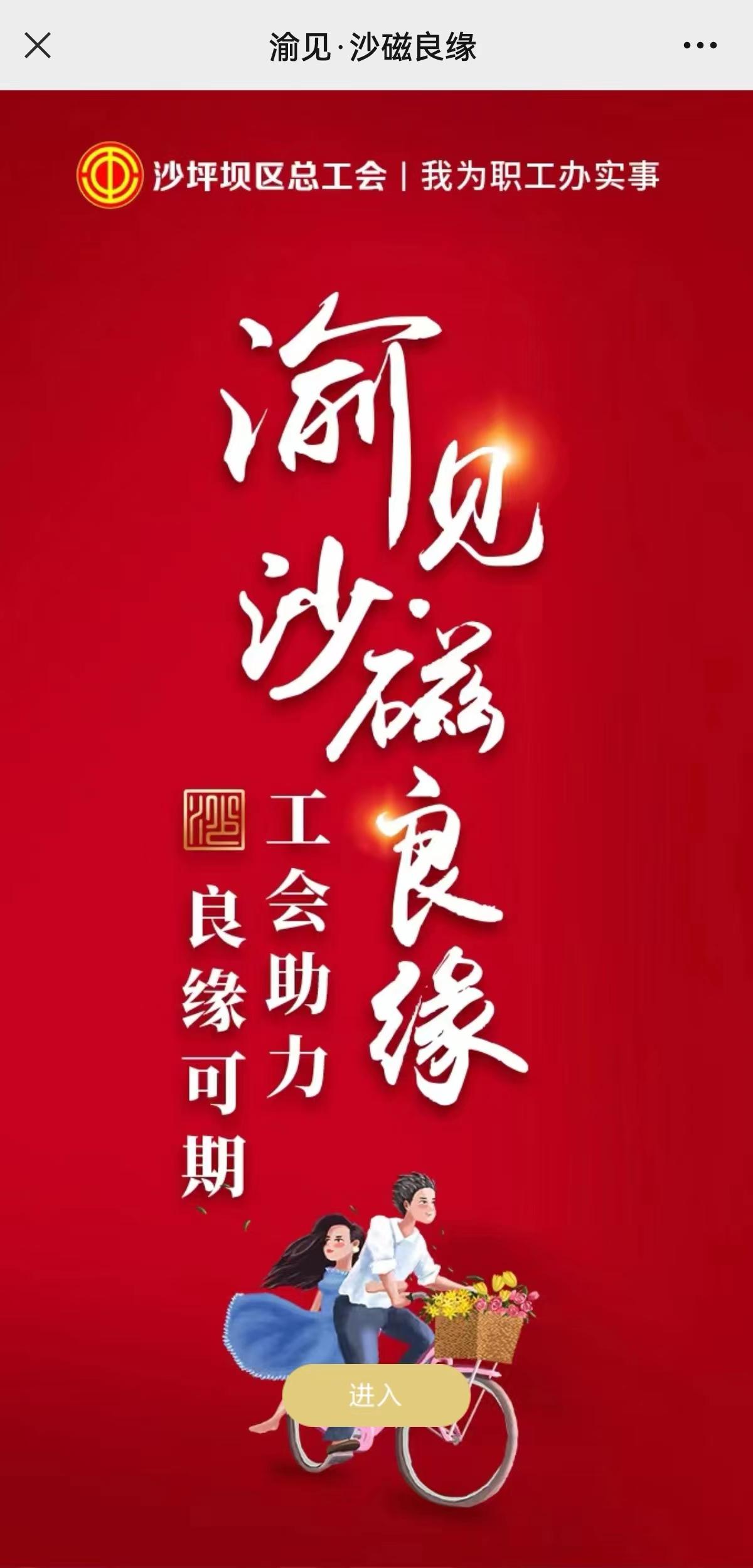 正規(guī)免費交友平臺，探索與解析，正規(guī)免費交友平臺，探索、解析與體驗