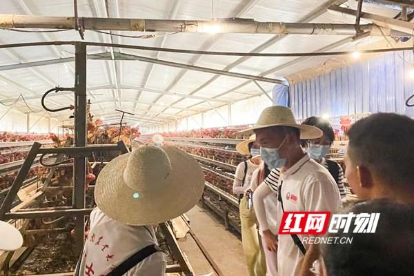 唐人神集團(tuán)股份有限公司，塑造卓越，引領(lǐng)未來，唐人神集團(tuán)股份有限公司，塑造卓越，引領(lǐng)未來發(fā)展