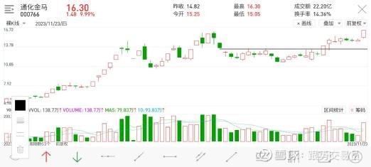 金馬股票，投資的新機(jī)遇與挑戰(zhàn)，金馬股票，新機(jī)遇與挑戰(zhàn)并存的投資之路