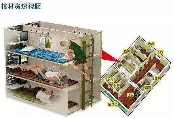 香港綜合出號走勢圖，探索與解讀，香港綜合出號走勢圖的探索與解讀