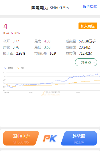 國電電力股票600795，深度解析與前景展望，國電電力股票600795深度解析及未來前景展望