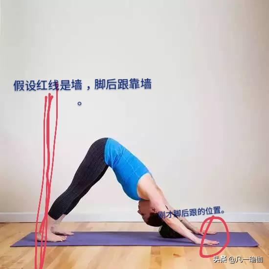 基礎(chǔ)瑜伽教程視頻，引領(lǐng)你步入瑜伽世界的指南，基礎(chǔ)瑜伽教程視頻，引領(lǐng)入門，步入瑜伽世界的必備指南