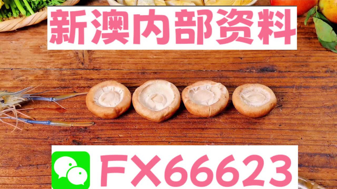 新澳正版資料免費提供，助力個人與企業(yè)的成長與發(fā)展，新澳正版資料助力成長與發(fā)展，個人與企業(yè)的免費資源寶庫