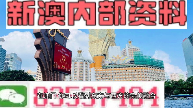 新澳新澳門正版資料，探索與解析，新澳新澳門正版資料深度解析與探索