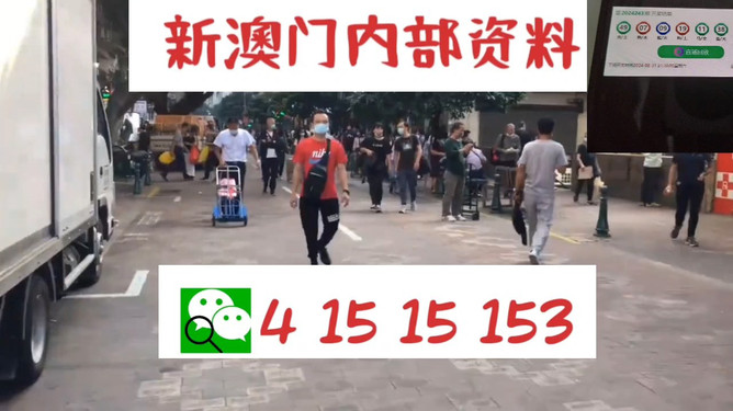 澳門(mén)管家婆，揭秘?cái)?shù)字背后的故事與魅力，澳門(mén)管家婆，數(shù)字背后的故事與魅力揭秘