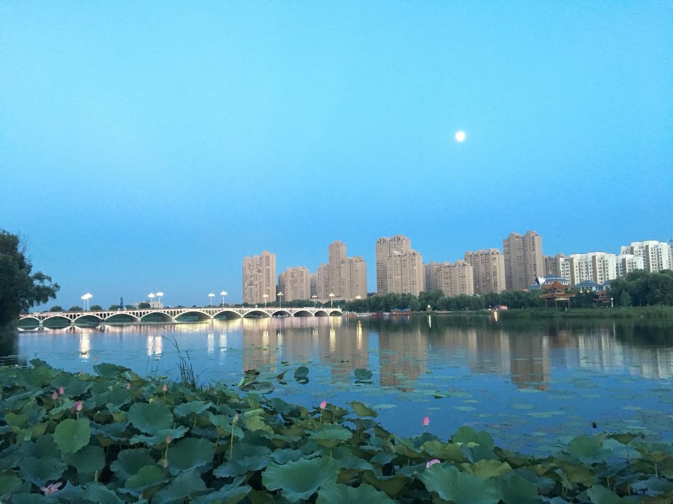 灤南縣天氣預(yù)報(bào)及其影響，灤南縣天氣預(yù)報(bào)與影響分析