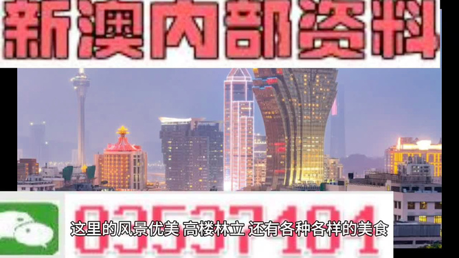 2025新奧精準資料大全，深度解析與前瞻展望，2025新奧精準資料大全，深度解析與未來展望