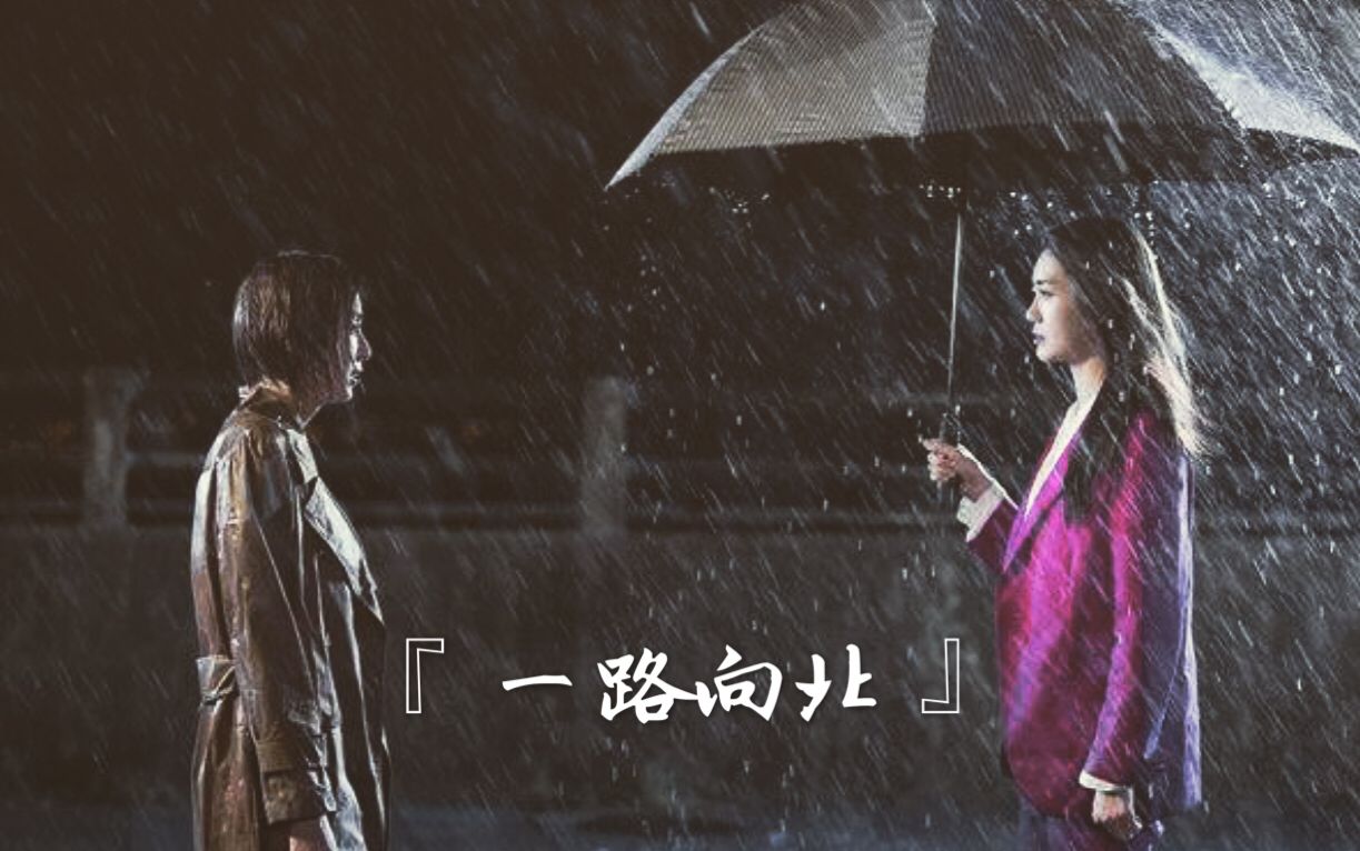 一路向北演員女——探尋她的魅力與演技之路，一路向北演員女的魅力與演技之路探尋