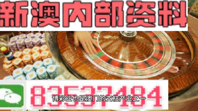 澳門正版精準(zhǔn)免費(fèi)大全，探索與解析，澳門正版精準(zhǔn)資料大全，探索與深度解析