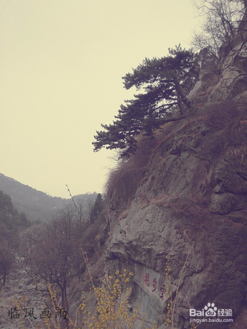 泰山旅游攻略，兩日游費(fèi)用預(yù)算與行程規(guī)劃，泰山兩日游攻略，行程規(guī)劃與費(fèi)用預(yù)算全解析
